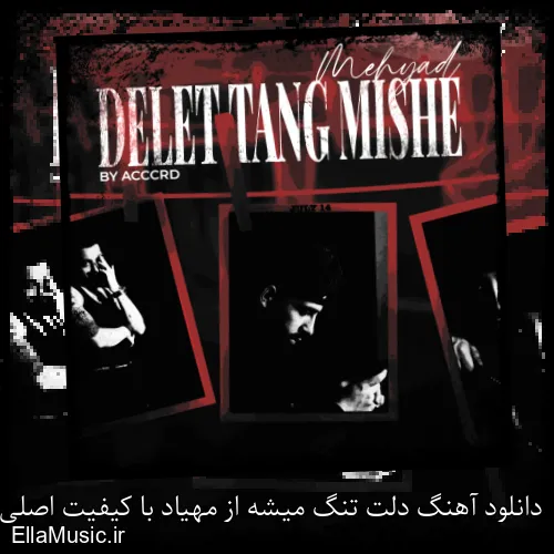 دانلود آهنگ دلت تنگ میشه از مهیاد با کیفیت اصلی و متن کامل