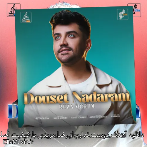 دانلود آهنگ دوست ندارم از رضا مریدی با کیفیت اصلی و متن کامل