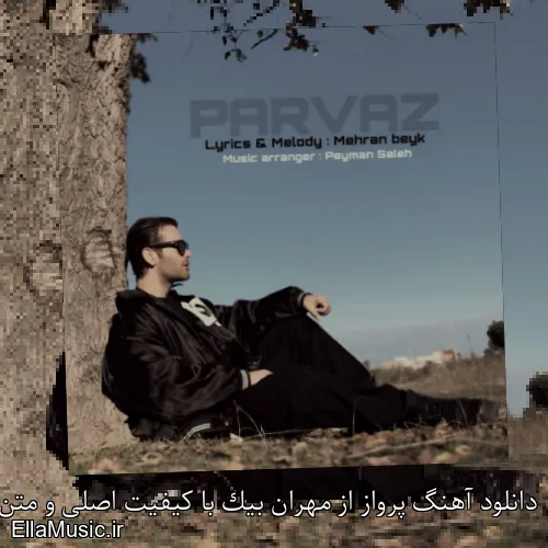 دانلود آهنگ پرواز از مهران بیک با کیفیت اصلی و متن کامل