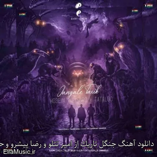 دانلود آهنگ جنگل تاریک از امیر تتلو و رضا پیشرو و حصین با متن کامل