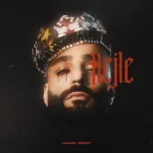 حمید صفت  - حجله 